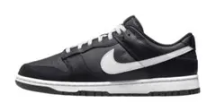 NIKE Dunk Low Retro ナイキ ブラックパンダ