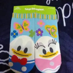 ディズニーランド購入　ドナルド　デイジー靴下