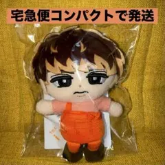 2026年最新】向井康二 ぬいぐるみの人気アイテム - メルカリ