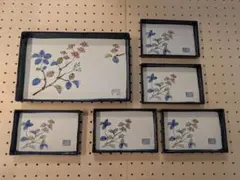 昭和レトロ　花と葉の 食器セット 6個