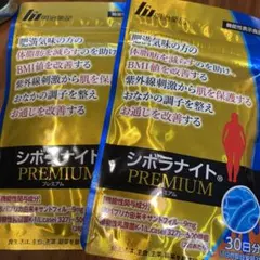 Item thumbnail for item 6d008c59-24ab-4b6e-b539-63d114a81396