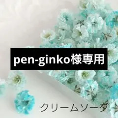 pen-ginko様 リクエスト 2点 まとめ商品