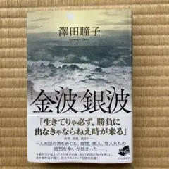 金波銀波 澤田瞳子 中央公論新社
