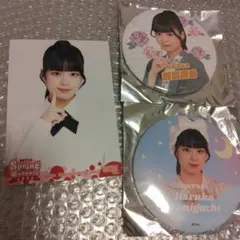 Item thumbnail for item 5bcf8f60-5175-4956-933f-e4524517e8a2