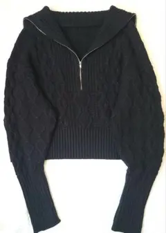 サロン アダムエロペ ハーフジップ クロップド ケーブル ニット ブラック 黒