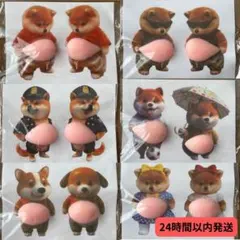 おなかぷにぷにシール お腹シール 柴犬 猫 ネコ 3D ぷくぷく 推し活 スマホ
