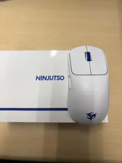 ninjutso ten