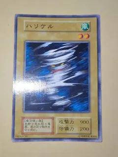 2026年最新】ハリケルの人気アイテム - メルカリ