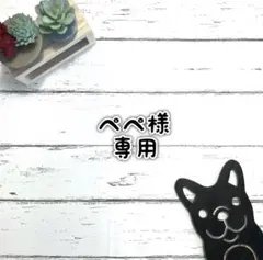 ■ぺぺ様 専用ページ■ リクエスト2点まとめ商品