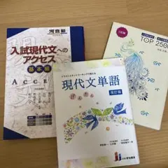 入試現代文へのアクセス　現代文参考書3冊セット