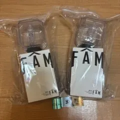 timelesz FAM ペンライト 2個セット