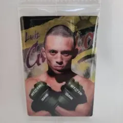 Item thumbnail for item bea20e12-d69f-4634-bdf0-89785186e74e