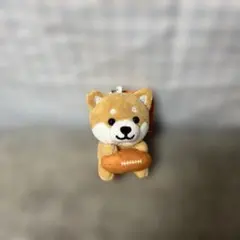 Item thumbnail for item 5e60f5ce-6f8e-4ce9-8635-1572ee383379