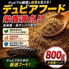 デュビアフード 800g 栄養満点 高タンパク 爬虫類 活餌のサムネイル