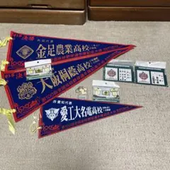 お) 第100回全国高校野球選手権大会 記念品