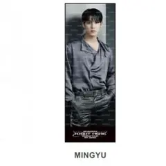 SEVENTEEN RIGHT HERE ビッグフォトタオル スローガン