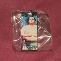 大相撲ガチャ スティックキーホルダー 琴櫻関