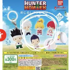 せ*読様 ハンターハンター めじるしアクセサリー セット 2026年最新】Hunter×Hunterめじるしアクセサリーの人気アイテム - メルカリ