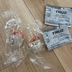TRUZ RURU