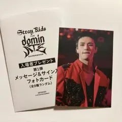 straykids ヒョンジン dominATE 映画 入場特典 フォトカード