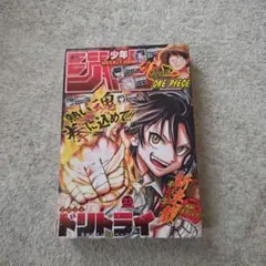 月刊少年ガンガン 2004年 5月 超特大号 鋼の錬金術師 ハガレン - メルカリ