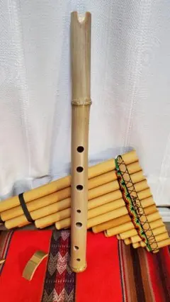 2026年最新】ケーナ 楽器の人気アイテム - メルカリ