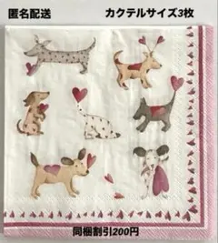 くに里多肉　よっしー様 リクエスト 5点 まとめ商品