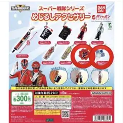 スーパー戦隊シリーズ　めじるしアクセサリー