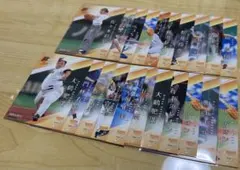 BBM 2025 FUSION 始球式カード　まとめ売り　21枚セット