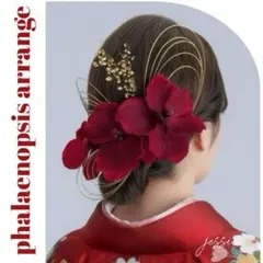 【メルカリ便】ヘッドドレス❤︎金箔付×水引×胡蝶蘭レッド　成人式髪飾り和装卒業式
