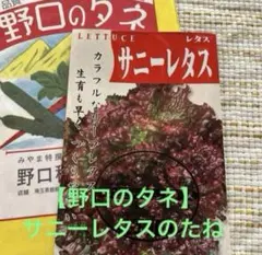 チョコ様 リクエスト 3点 まとめ商品