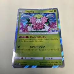 シェイミ P ポケモンセンター20周年記念キャンペーン キラ 225/SM-P