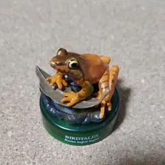 ✴︎ タゴガエル サントリー天然水 バードテイルズ-2 No.8