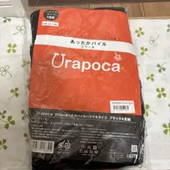 うらぽか 200denあったかパイルハラマキタイツ LL~3L ブラック4足組