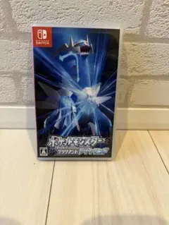 ポケットモンスター ブリリアントダイヤモンド & Splatoon 2
