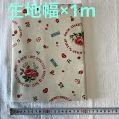 354)YUWA 30’「フルーツ&ローズモチーフ」綿麻キャンバス　1m