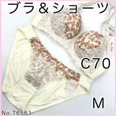 ブラジャーショーツセットC70 No.76561