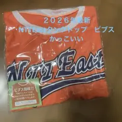 NTTEast東日本 ビブス 新品 未使用