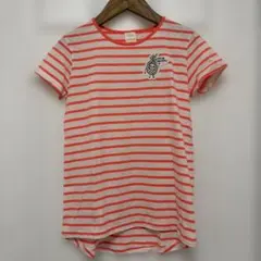 ZARA Girls collection　半袖　Tシャツ　150cm