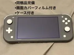 Switch Liteグレー本体＋ハードケースのサムネイル