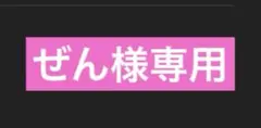ぜん様専用ページ