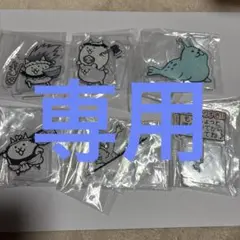 カラピー様専用☆