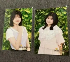 ひまわりチャンネル　写真