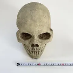 Item thumbnail for item 16e2d747-b638-4bfb-9fe7-36c4a43312be