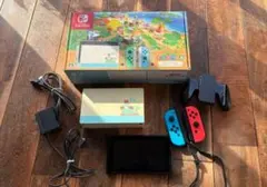 質問あればどうぞお気軽に！4月20日取り下げNintendo Switch