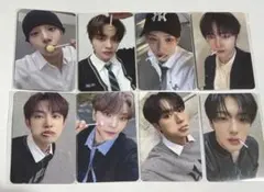 ALD1 mnetplusmerch ヨントン トレカ コンプ