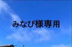 みなぴ様専用