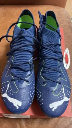 Item thumbnail for item a7544013-d047-46d0-be56-0a3422a52b19