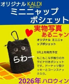 【KALDI】オリジナル ミニニャップポシェット