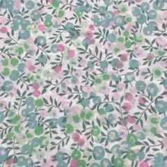 リバティ タナローン